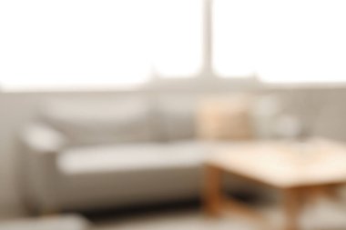 Oturma odasının şık bir iç mekanı, bulanık bir görüntü.