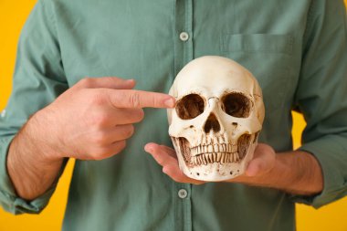 Sarı arka planda insan kafatasını gösteren yakışıklı adam, yakın plan.