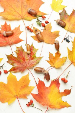 Sonbahar yaprakları, böğürtlen ve meşe palamudu, yakın plan