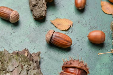 Renkli arka planda doğal orman dekoru, yakın plan