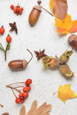 Işık arkaplanda doğal orman dekoru, yakın plan