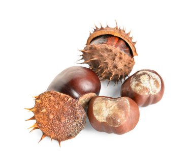 Beyaz arka planda kestane yığını