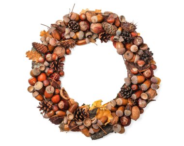 Beyaz arka planda güzel palamut çelengi