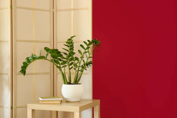 Stylish Folding Screen Houseplant Red Wall — Stock Photo, Image