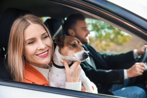 Mooie Vrouw Met Schattige Jack Russel Terrier Haar Man Reizen — Stockfoto