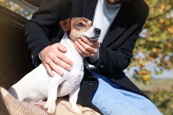 Junger Mann Mit Süßem Jack Russel Terrier Sitzt Herbsttag Kofferraum — Stockfoto