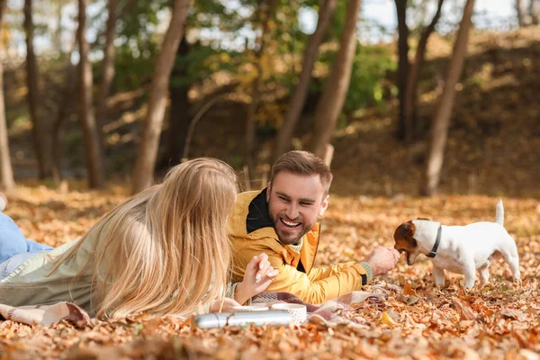 秋の日に公園でジャック ラッセル テリアと遊ぶ素敵なカップル — ストック写真