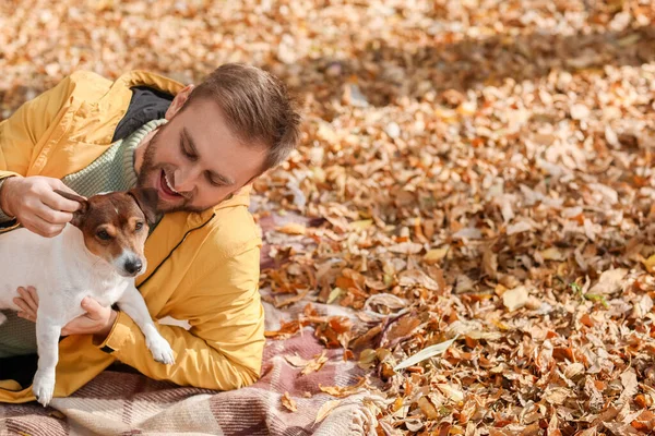 秋の日に公園で面白いジャック ラッセル テリアを持つハンサムな男 — ストック写真