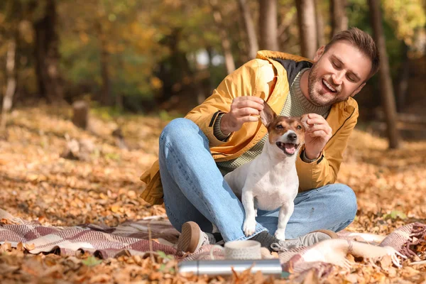 Schöner Mann Mit Lustigem Jack Russel Terrier Park Einem Herbsttag — Stockfoto