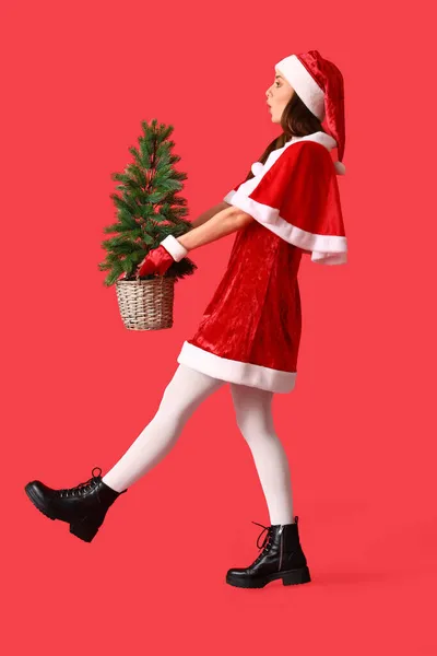 Hermosa Mujer Joven Caminando Traje Santa Con Árbol Navidad Fondo —  Fotos de Stock