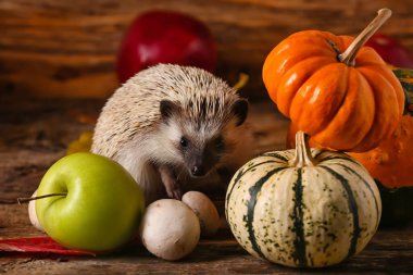 Ahşap arka planda elma ve balkabağı olan şirin kirpi.