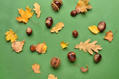 Renkli arkaplanda sonbahar yaprakları ve kestaneler