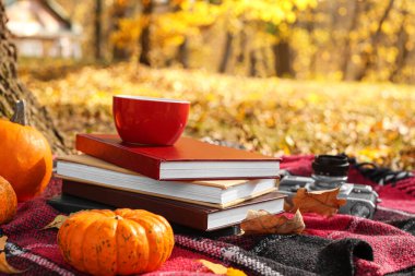 Sonbahar parkında bir yığın kitap, bir fincan kahve ve ekoseli balkabağı.