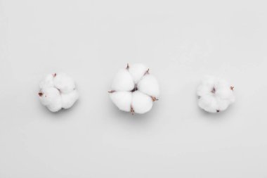 Hafif arkaplanda yumuşak pamuk çiçekleri