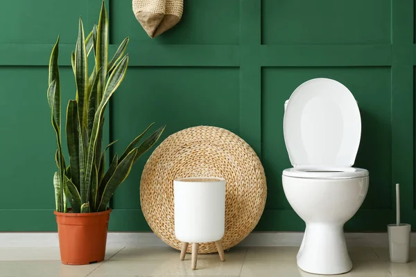 Toilet Mangkuk Dengan Sampah Dan Tanaman Rumah Dekat Dinding Hijau — Stok Foto