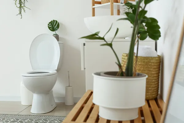 Weiße Toilettenschüssel Neben Lichtwand Toilette — Stockfoto