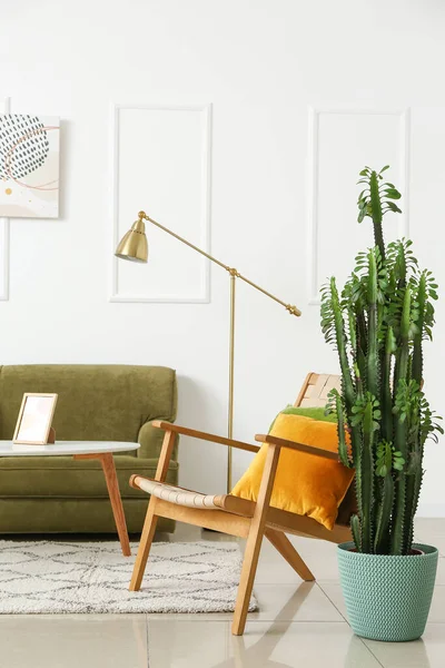 Big Cactus Interior Living Room — Stock Photo, Image