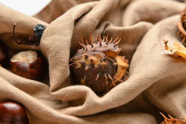 Autumn Chestnuts Fabric Background Closeup — Stock Photo, Image