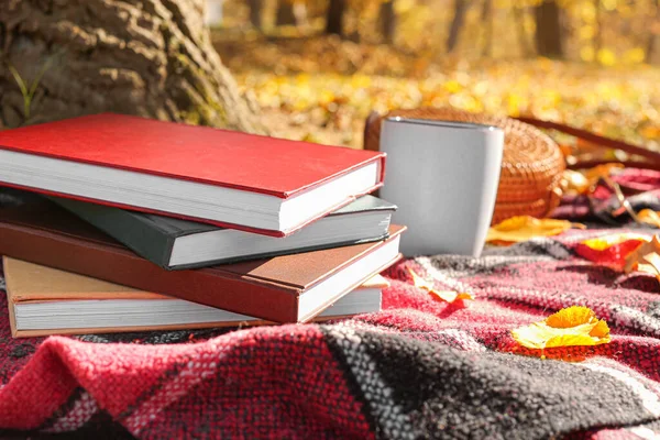 Stapel Bücher Auf Plaid Herbstpark — Stockfoto