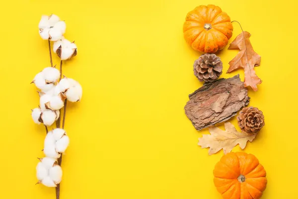 Composição Outono Com Flores Algodão Abóboras Fundo Amarelo — Fotografia de Stock