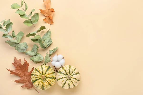 Autumn Composition Cotton Flower Pumpkins Beige Background — Stock Photo, Image