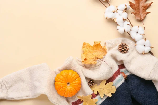 Autumn Composition Cotton Flowers Sweater Pumpkin Beige Background — Stock Photo, Image