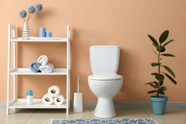Interior Kamar Kecil Dengan Toilet Mangkuk Dan Unit Rak — Stok Foto