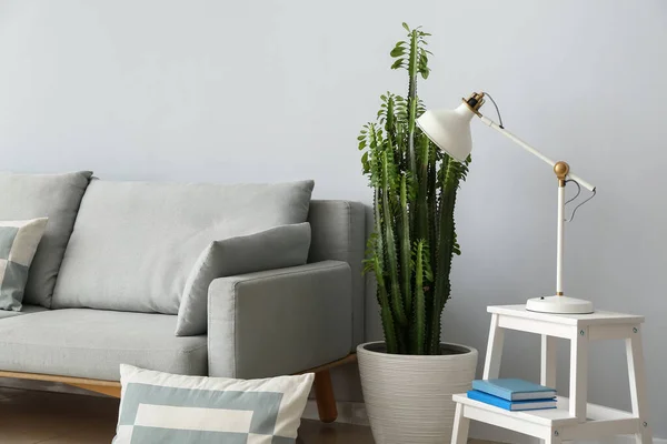 Big Cactus Interior Living Room — Stock Photo, Image