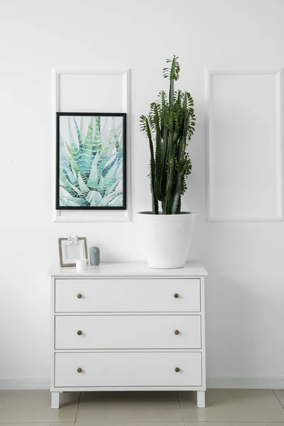 Green Cactus Frame Chest Drawers White Wall — Stock Photo, Image