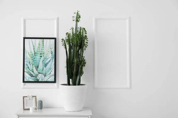 Zielony Kaktus Ramka Półce Przy Ścianie Świetlnej — Zdjęcie stockowe