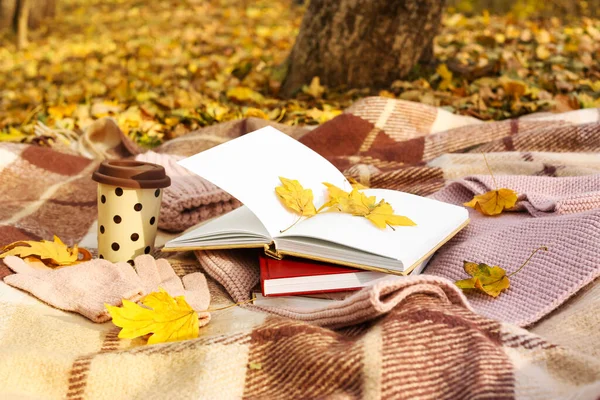Stack Books Cup Drink Golden Leaves Plaid Autumn Park — Stock Photo, Image