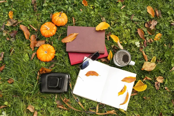 Книги Чашка Кофе Фотоаппарат Тыквы Осенние Листья Зеленой Траве — стоковое фото