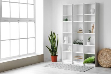 Raf üniteli modern odanın içi