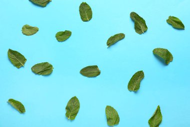 Renk arkaplanında çok sayıda nane yaprağı