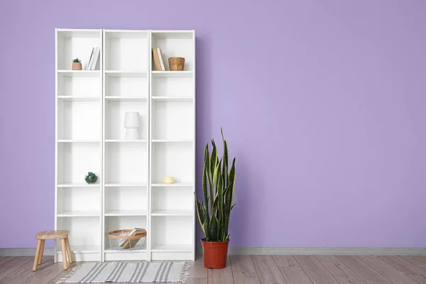 Modern shelf unit and houseplant in room