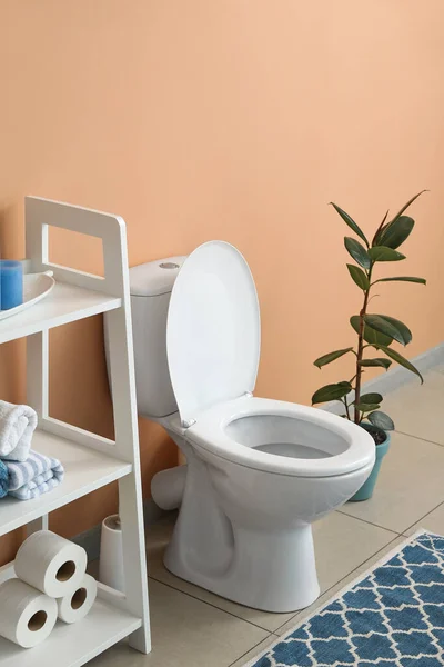 Toilettenschüssel Mit Regal Und Zimmerpflanze Nahe Beiger Wand Der Toilette — Stockfoto