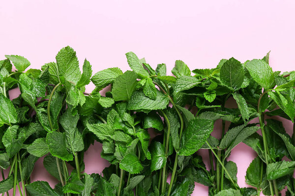 Many fresh mint twigs on pink background, closeup