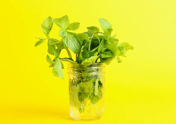 Tarro Vidrio Con Racimo Menta Sobre Fondo Amarillo — Foto de Stock