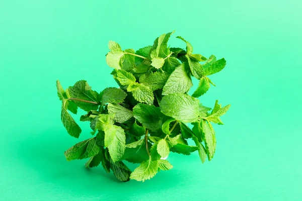 Bunch Färsk Mynta Färg Bakgrund — Stockfoto