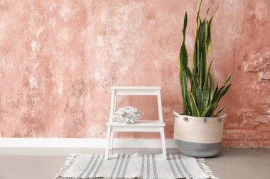 Beyaz basamaklı tabure ve pembe duvarın yanındaki ev bitkisi