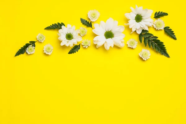Összetétel Gyönyörű Virágokkal Levelekkel Sárga Alapon — Stock Fotó