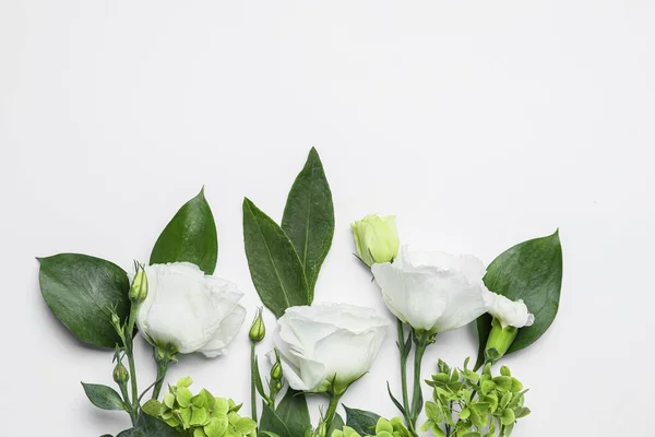 Красиві Квіти Ізольовані Білому Тлі Крупним Планом — стокове фото