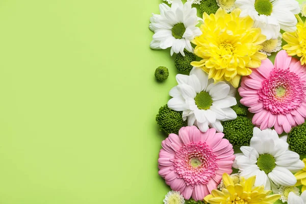 Many Different Flowers Color Background Closeup — Stock Photo, Image