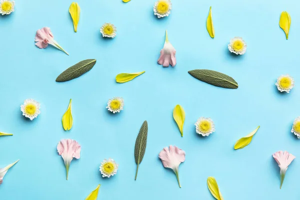 Flowers Petals Leaves Blue Background Closeup — Stock Photo, Image