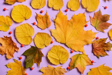 Leylak arkaplanında ataç olan düşmüş yapraklar