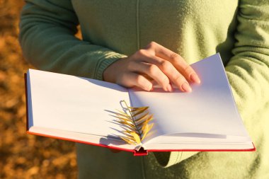 Güneşli bir günde elinde güz yaprağıyla kitap tutan kadın, yakın plan.