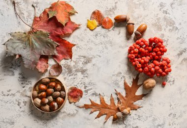 Doğal orman dekorundan yapılmış çerçeve ve grunge arka planında fındık