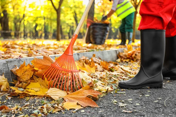 Arbeiter Sammeln Herbstblätter Freien — Stockfoto