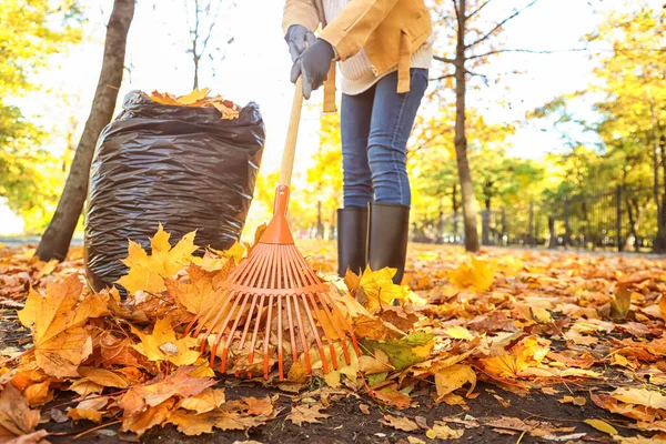 Frau Sammelt Herbstblätter Freien — Stockfoto