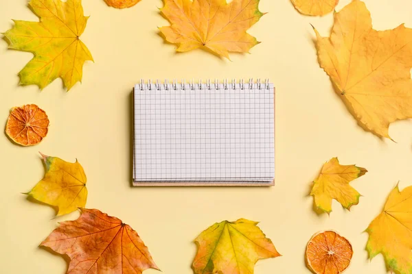 Notebook Dried Lemon Slices Fallen Leaves Beige Background — Stock Photo, Image